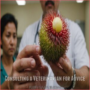 Consulting a Veterinarian for Advice