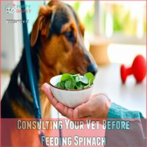 Consulting Your Vet Before Feeding Spinach