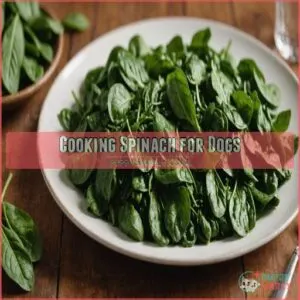 Cooking Spinach for Dogs