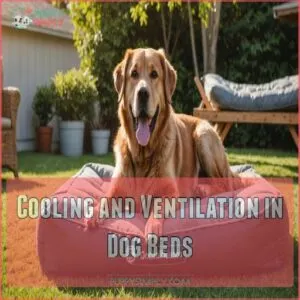 Cooling and Ventilation in Dog Beds