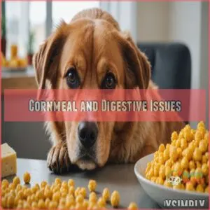 Cornmeal and Digestive Issues