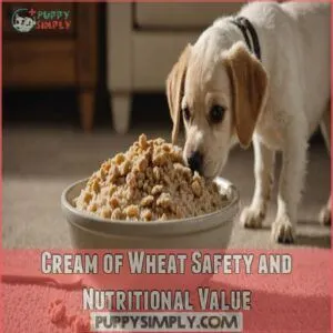 Cream of Wheat Safety and Nutritional Value