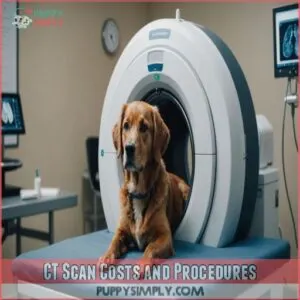 CT Scan Costs and Procedures