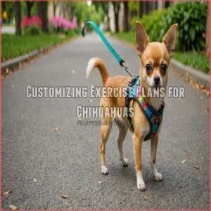Customizing Exercise Plans for Chihuahuas Customizing Exercise Plans for Chihuahuas
