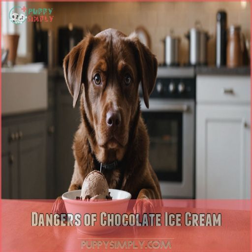View of Can Dogs Eat Chocolate Ice Cream? Vet Warns of Risks & Symptoms