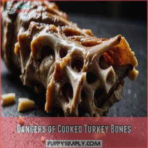 Dangers of Cooked Turkey Bones