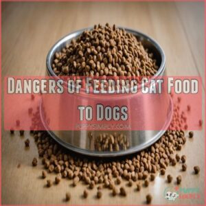 Dangers of Feeding Cat Food to Dogs