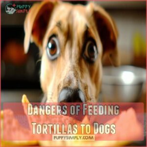 Dangers of Feeding Tortillas to Dogs