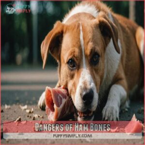 Dangers of Ham Bones