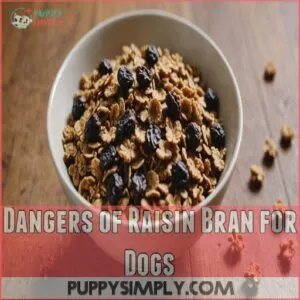 Dangers of Raisin Bran for Dogs