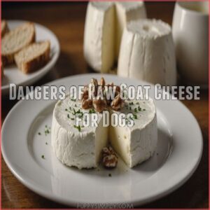 Dangers of Raw Goat Cheese for Dogs