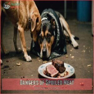 Dangers of Spoiled Meat Dangers of Spoiled Meat