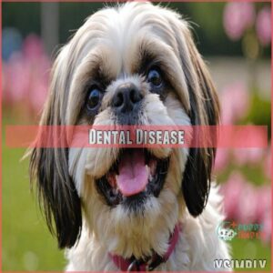 Dental Disease