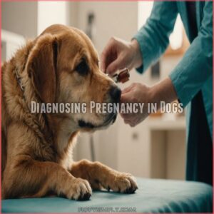 Diagnosing Pregnancy in Dogs