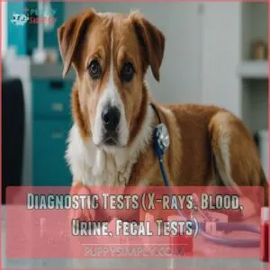 Diagnostic Tests (X-rays, Blood, Urine, Fecal Tests)