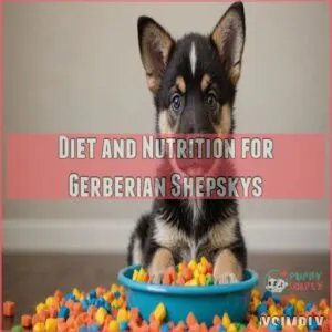 Diet and Nutrition for Gerberian Shepskys