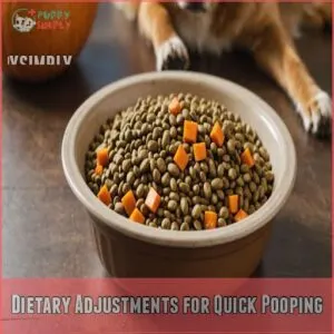 Dietary Adjustments for Quick Pooping