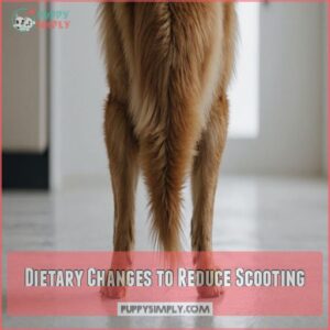 Dietary Changes to Reduce Scooting