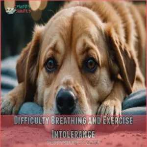 Difficulty Breathing and Exercise Intolerance