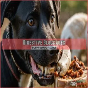 Digestive Blockages