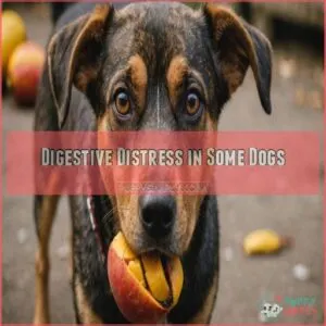 Digestive Distress in Some Dogs