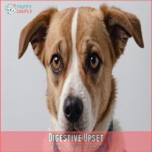 Digestive Upset Digestive Upset