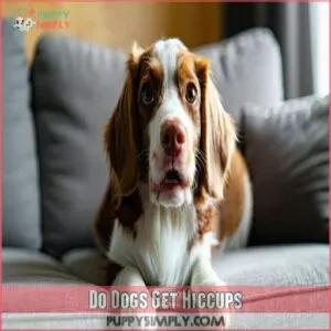 Do Dogs Get Hiccups