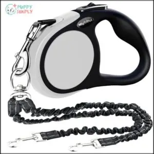 Double Retractable Dog Leash for