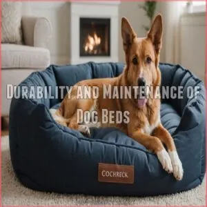 Durability and Maintenance of Dog Beds