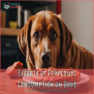 Effects of Pepperoni Consumption on Dogs