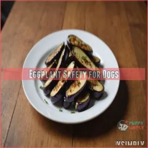 Eggplant Safety for Dogs