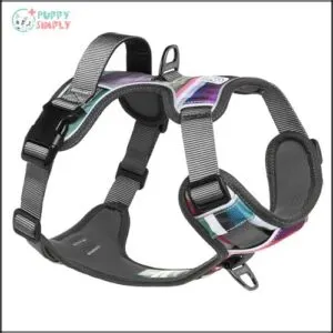 Embark Urban Dog Harness, No-Pull