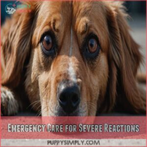 Emergency Care for Severe Reactions