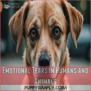 Emotional Tears in Humans and Animals