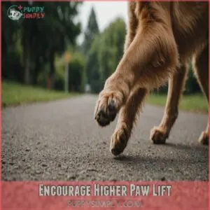 Encourage Higher Paw Lift