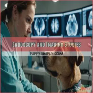 Endoscopy and Imaging Studies