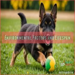 Environmental Factors and Lifespan