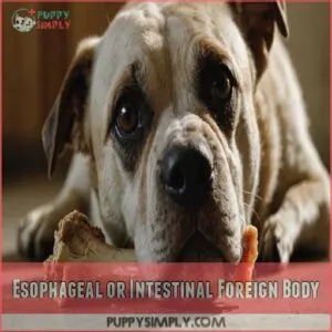 Esophageal or Intestinal Foreign Body