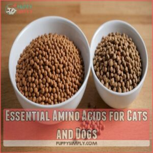 Essential Amino Acids for Cats and Dogs