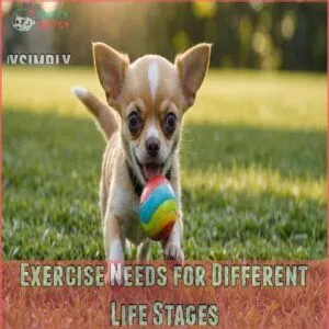 Exercise Needs for Different Life Stages Exercise Needs for Different Life Stages