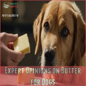 Expert Opinions on Butter for Dogs