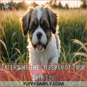 Extending The Lifespan of Your Shih Tzu