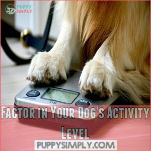 Factor in Your Dog