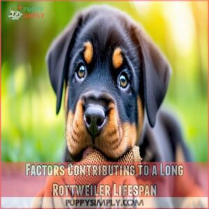 Factors Contributing to a Long Rottweiler Lifespan