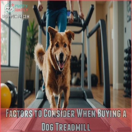 Factors to Consider When Buying a Dog Treadmill