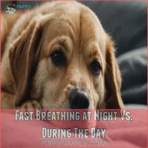 Fast Breathing at Night Vs. During The Day