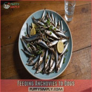 Feeding Anchovies to Dogs