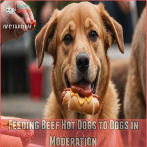 Feeding Beef Hot Dogs to Dogs in Moderation