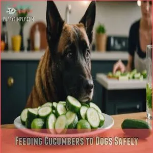 Feeding Cucumbers to Dogs Safely