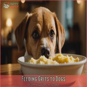 Feeding Grits to Dogs